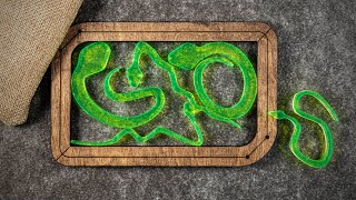 The Five Snakes Puzzle!! - Really that hard!?