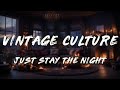 David Penn Vintage Culture Just Stay The Night Lyrics mp3