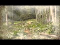 Grown In Britain - From Tree To Table Grown In Britain - From Tree To Table