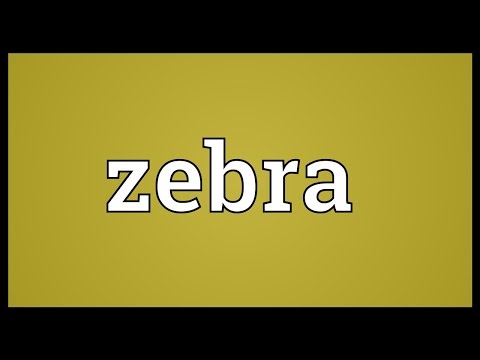 Zebra Meaning