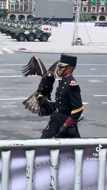 Mexican Soldier With His Eagle 🇲🇽 Mexican Soldier And His Eagle 🦅 #mexican #mexico #eagle #short