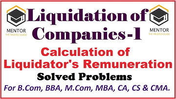 Liquidation 1 || Liquidator