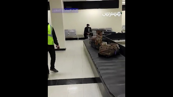 رغم الخوف والهلع.. مغاربة أوكرانيا يرفضون التخلي عن حيواناتهم الأليفة