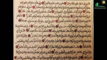 سورة نوح - الجزء الثاني - المستوى الخامس ابتدائي