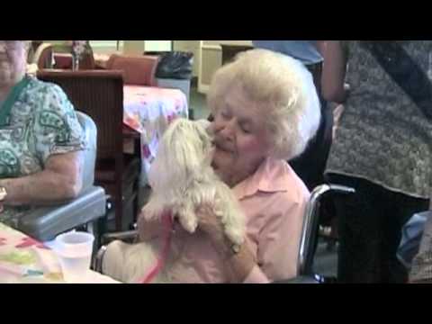 Brighton Gardens Sunrise Senior Living Youtube