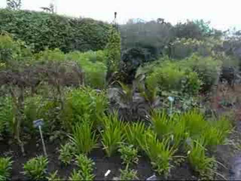 ウィズリー ガーデン Mixed Borders Youtube