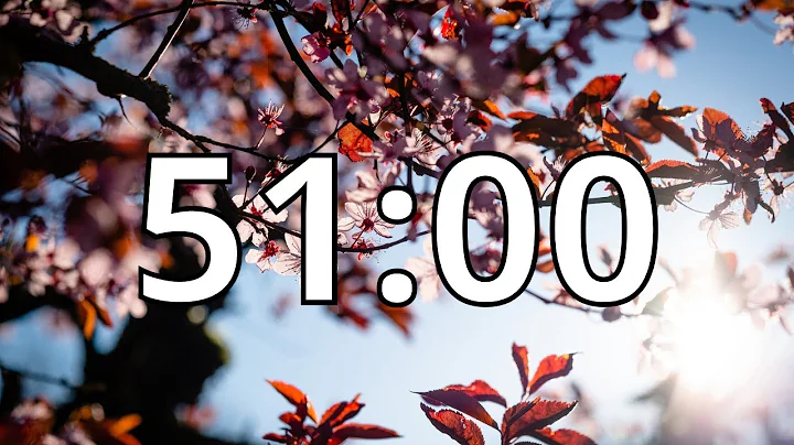 51 Minutes Timer with Music | Cherry Blossom Timer