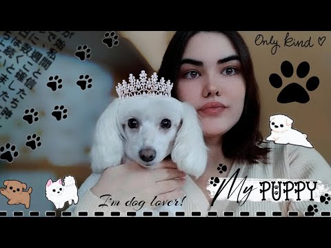 ♡МОЯ СОБАКА♡ | Китайская Хохлатая Пуховка | Гигиена, Питание, Лечение
