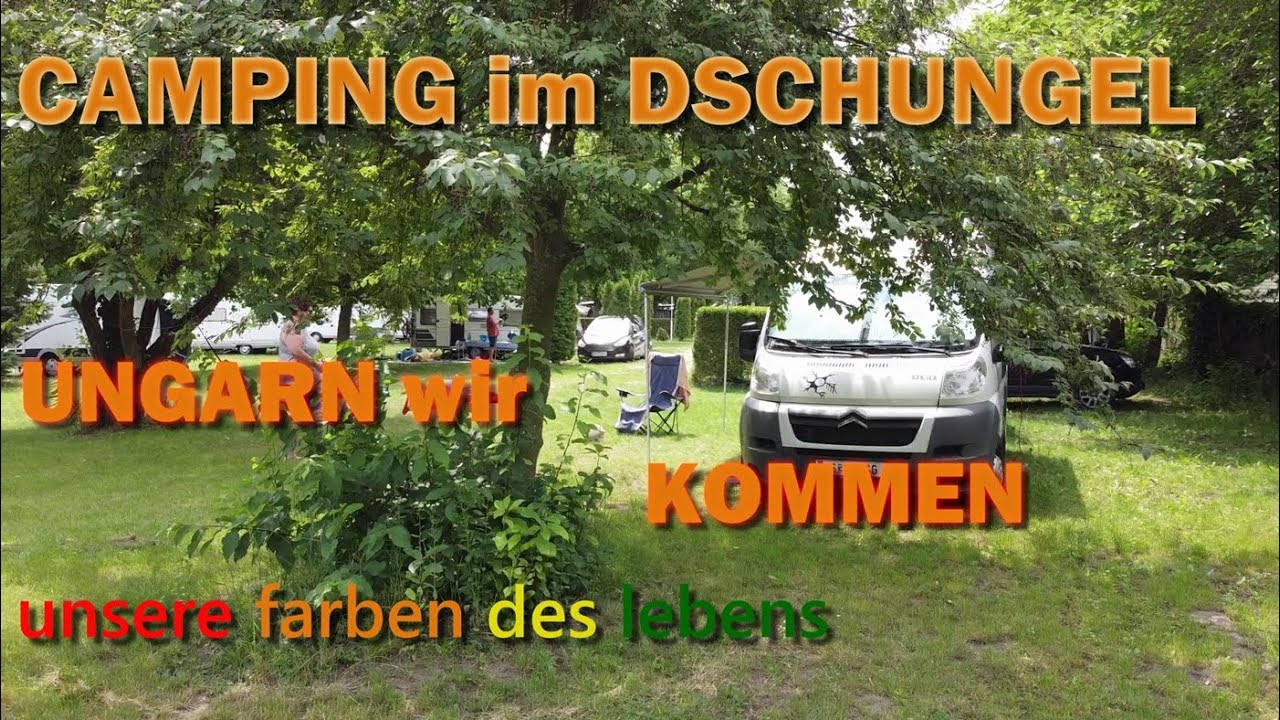 7 🇭🇺 #ungarn #ACSI #campingplatz Sá-Ra Termál #Camping #Dschungel Neusiedlersee #Wohnmobil #vanlife