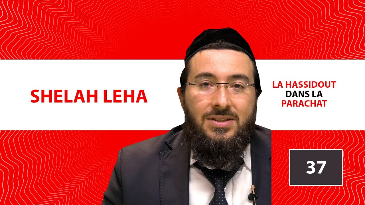 LA HASSIDOUT DANS LA PARACHAT  - SHELAH LEHA (37)