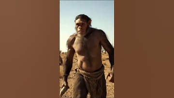 |Life of Millions Years Ago Series