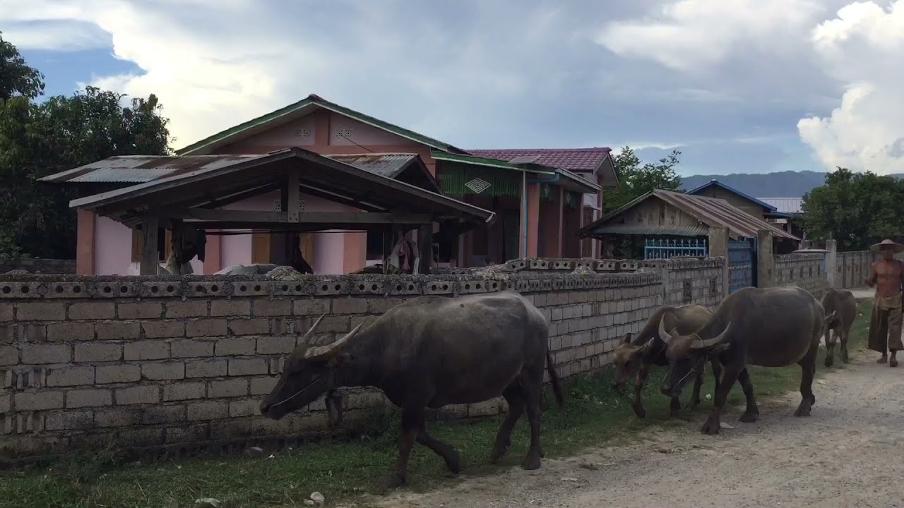 Ep.2 Country-life NamBong to NaNang ถึงบ้านอย่างปลอดภัยค่ะ ထိုင်ႁိူၼ်းယဝ်ႉၶႃႈ