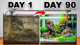 I Built a Giant Shrimp Ecosystem