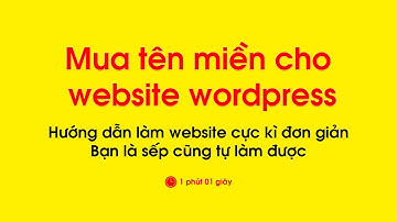 Mua tên miền cho website wordpress đơn giản dễ dàng
