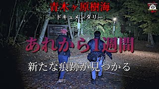 青木ヶ原樹海で新たな痕跡が...【あれから1週間後】