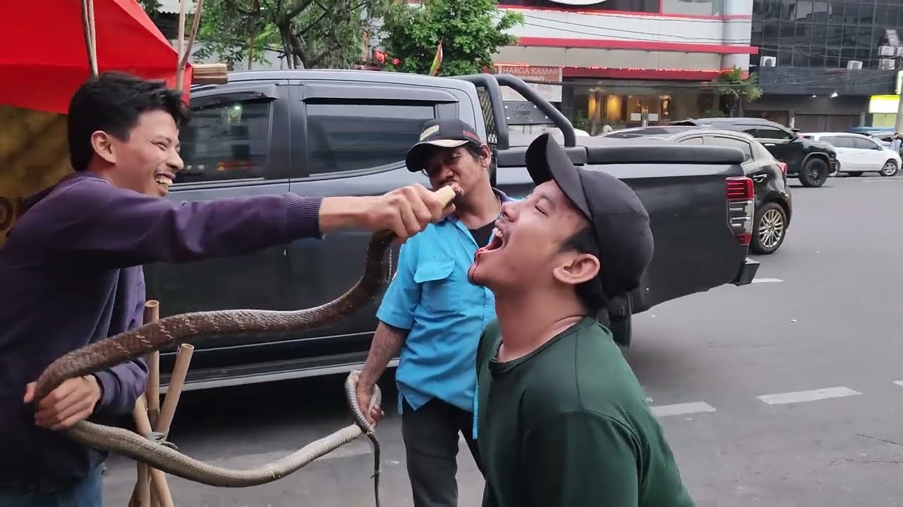 ⁣Dangerous Giant King Cobra Eating of Jakarta | Indonesian Street Food | Biggest King Cobra