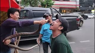 Makan King Cobra Raksasa Berbahaya di Jakarta | Makanan Jalanan Indonesia | Raja Kobra Terbesar