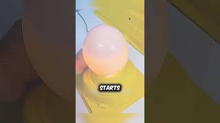 Biggest Ostrich Egg Ever Hatched ? 🤯 #shorts