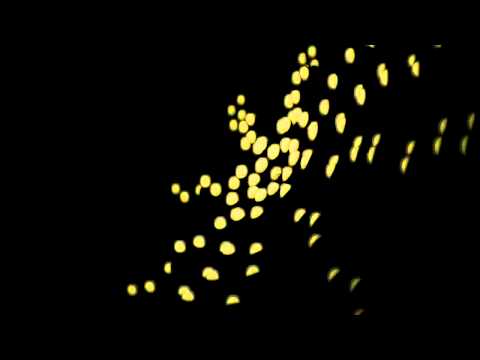 Blender Array