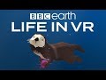 Bbc earth life in vr  california coast  launch trailer google daydream