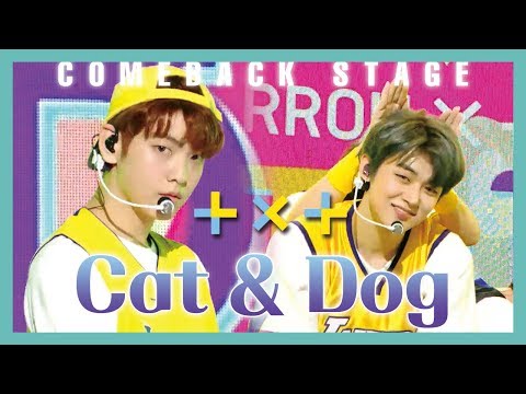 [HOT] TOMORROW X TOGETHER - Cat & Dog ,  투모로우바이투게더 - Cat & Dog  Show Music core 20190427