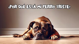 9 SEÑALES que indican que TU PERRO está TRISTE