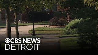 Charges expected in Canton woman's death; reward on vandalism to Warren mosque; other top stories