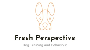 How do I stop my dogs tags from making noise?