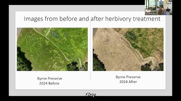 How Drones are used in Vegetation Management and Wildfire Risk Reduction