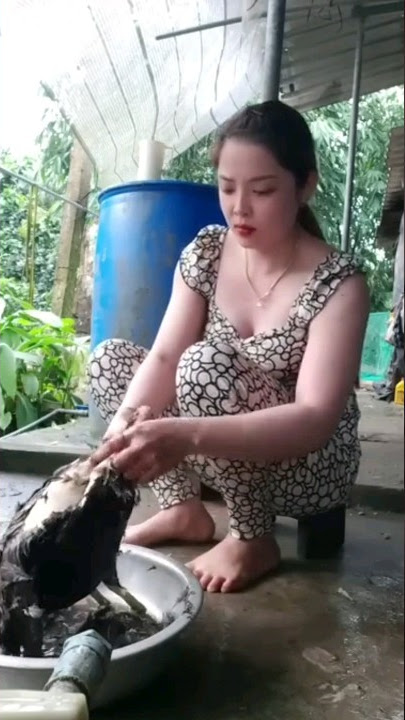 tik tok hiburan