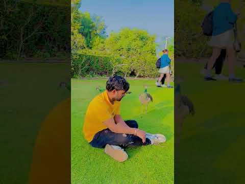 #love creek park in dubai