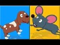 Animal Som Canção | miúdos educacional Vídeo | Kids Song | Sounds Animals Make | Animals Sound Song