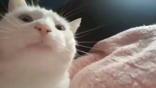 The new ultrakill ost got me like