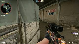 Killing shot while flashbanged