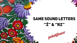 Same Sound Letters “Ż” and “RZ”. #polishwithmaggie #polishflower #learnpolish