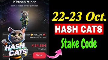 Hash Cats Stake Code Today | 22-23 October HashCats Stake Code | Hash Cats Stake Password Today