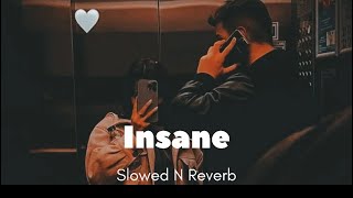 Insane | Slowed N Reverb | Ap Dhillon Song | Punjabi Song |