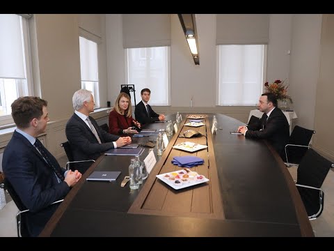 შეხვედრა კომპანია \"Rothschild \u0026 Co\"- ის მმართველ დირექტორ არიელ მალარდ დე როტშილდთან