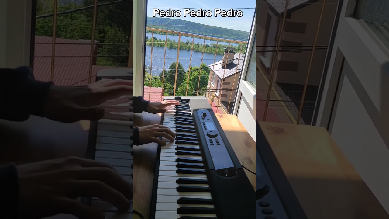 Эту музыку слышал каждый в 2024 Pedro Pedro Pedro on piano Педро на пианино синтезаторе