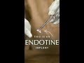 What is an Endotine Brow Lift?