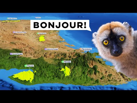 Video: Nosy Be, Madagascar: la guía completa