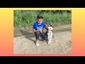 First walk ng Siberian Husky ko? | ARF-ARF TV