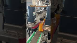 Fully Automatic Bottle Capping Machine with Cap Elevator #factory #cappingmachine #bottlecapper