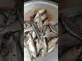 17/6/26இன்று பாட்டியிடம் என்ன மீன் இருக்குனு பார்ப்போம் friends#food#seafish#shorts#trending#new