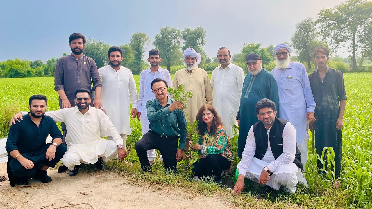 TREE PLANTATION derive by  Life’s Spices with Dr Nabila Tariq advocate | Green and Clean Pakistan