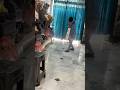 “Timing Se Six Maaro! 😱 Easy Trick for Perfect Batting” shorts #trending #viral