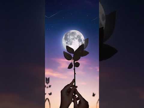 حالات واتس هادئه نغمات