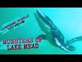 JURASSIC WORLD TOY MOVIE: MONSTERS OF LAKE MEAD