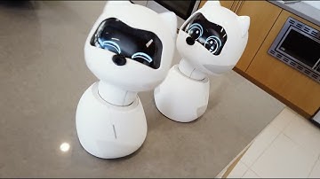 Kiki Dancing. Now on Kickstarter!