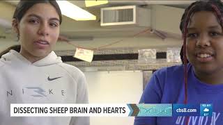 CBS 8 Story: Middle School Students Showcase STEM Skills